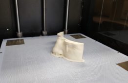 3D spausdinimas ir medicinos fantomai: KTU mokslininkai kuria naują pažangią medžiagą sveikatos priežiūros sektoriui