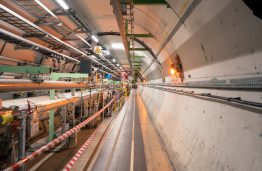 Tarptautinė hadronų terapijos meistriškumo pamoka: įdomūs pranešimai, praktiniai užsiėmimai ir žvilgsnis į CERN dalelių greitintuvą iš arti