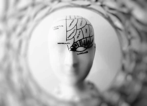 Neuromokslo atradimai – naujas tyrimas pagilina supratimą kaip veikia smegenys net tada, kai ilsisi